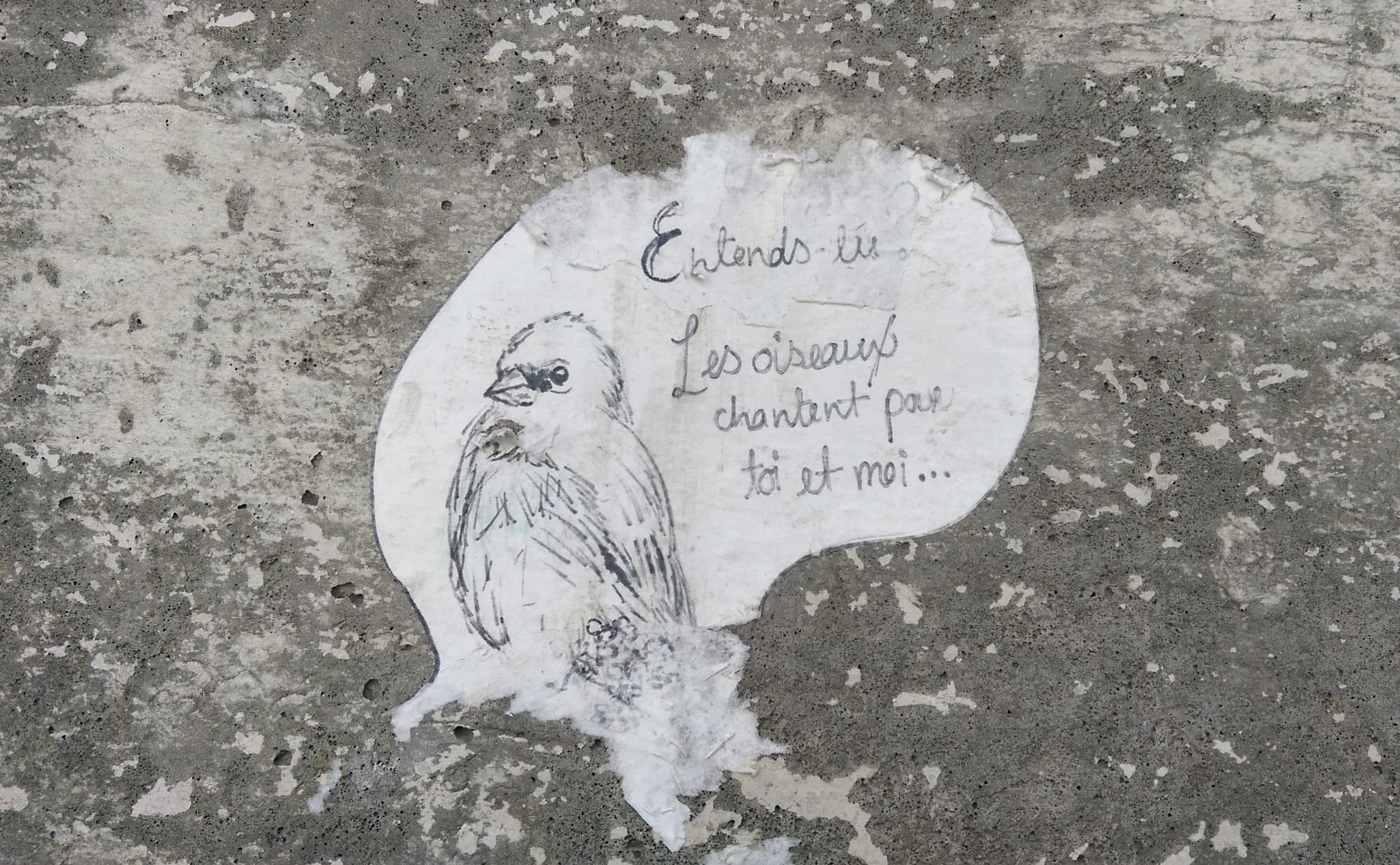 Entends-tu? Les oiseaux chantent pour toi et moi...